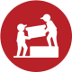 RELOCATION RELOCATION
